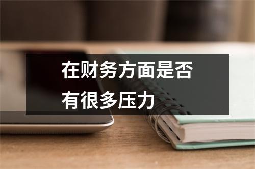 在财务方面是否有很多压力