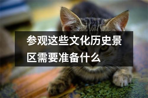 参观这些文化历史景区需要准备什么
