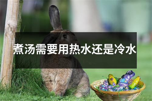 煮汤需要用热水还是冷水