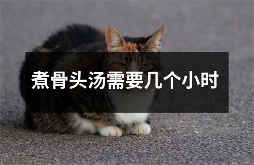 煮骨头汤需要几个小时