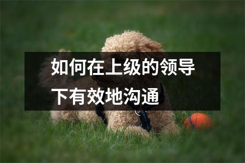 如何在上级的领导下有效地沟通