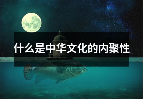 什么是中华文化的内聚性