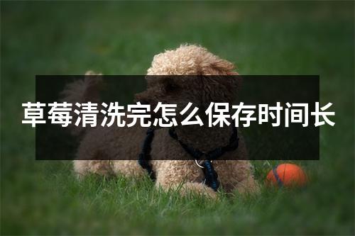 草莓清洗完怎么保存时间长