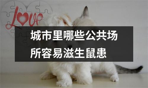 城市里哪些公共场所容易滋生鼠患