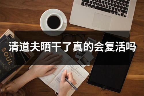 清道夫晒干了真的会复活吗