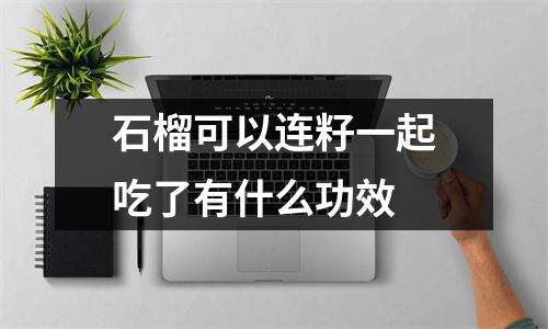 石榴可以连籽一起吃了有什么功效