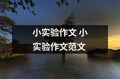 小实验作文 小实验作文范文