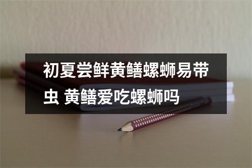 初夏尝鲜黄鳝螺蛳易带虫 黄鳝爱吃螺蛳吗