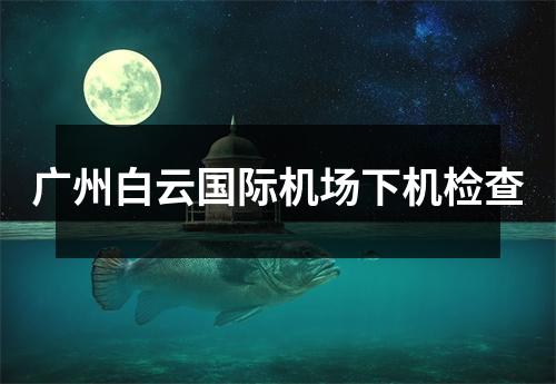 广州白云国际机场下机检查