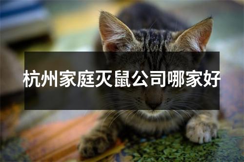 杭州家庭灭鼠公司哪家好