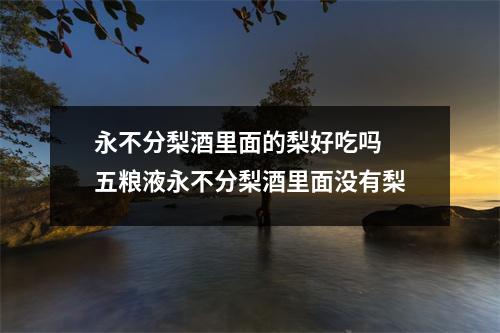 永不分梨酒里面的梨好吃吗 五粮液永不分梨酒里面没有梨