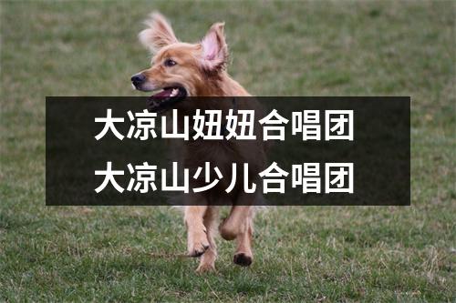 大凉山妞妞合唱团 大凉山少儿合唱团