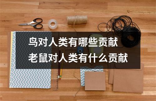 鸟对人类有哪些贡献 老鼠对人类有什么贡献