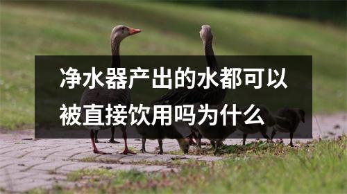 净水器产出的水都可以被直接饮用吗为什么
