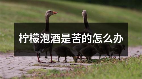 柠檬泡酒是苦的怎么办 柠檬泡酒是苦的怎么办