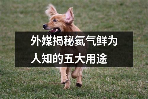 外媒揭秘氦气鲜为人知的五大用途 外媒揭秘氦气鲜为人知的五大用途