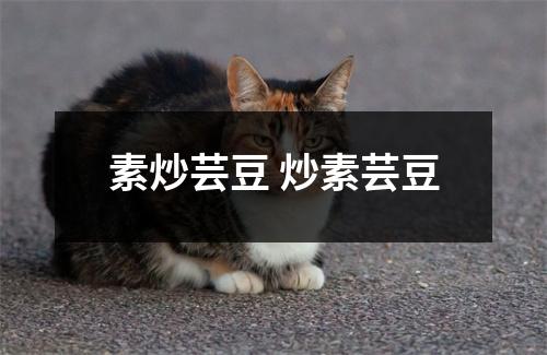 素炒芸豆 炒素芸豆