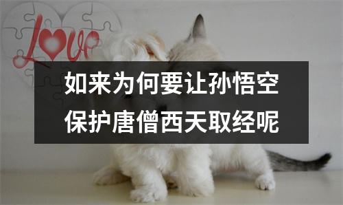 如来为何要让孙悟空保护唐僧西天取经呢