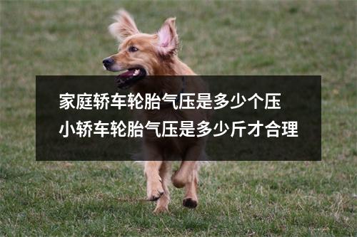 家庭轿车轮胎气压是多少个压 小轿车轮胎气压是多少斤才合理