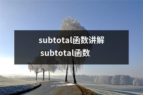 subtotal函数讲解 subtotal函数