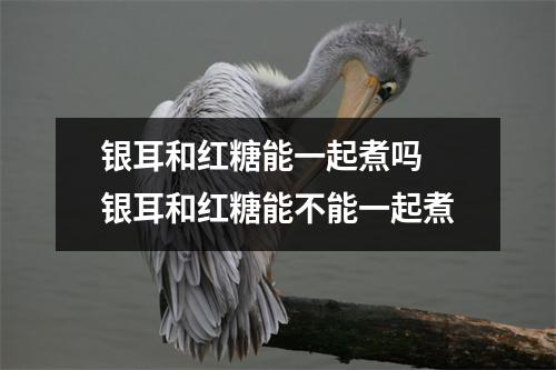 银耳和红糖能一起煮吗 银耳和红糖能不能一起煮