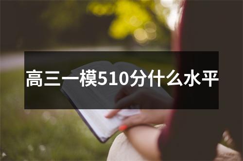 高三一模510分什么水平