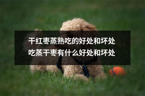 干红枣蒸熟吃的好处和坏处 吃蒸干枣有什么好处和坏处