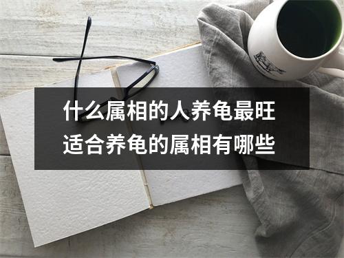 什么属相的人养龟最旺 适合养龟的属相有哪些