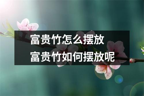 富贵竹怎么摆放 富贵竹如何摆放呢