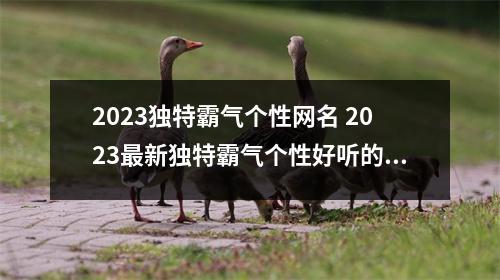2023独特霸气个性网名 2023最新独特霸气个性好听的昵称集锦