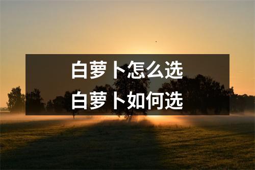 白萝卜怎么选 白萝卜如何选