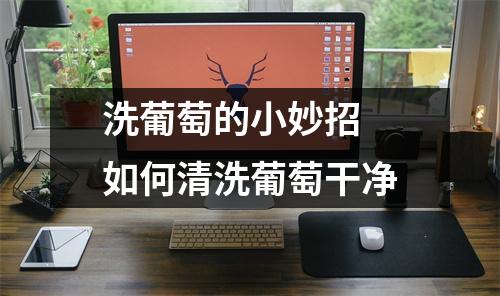 洗葡萄的小妙招 如何清洗葡萄干净