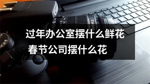 过年办公室摆什么鲜花 春节公司摆什么花