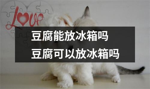 豆腐能放冰箱吗 豆腐可以放冰箱吗