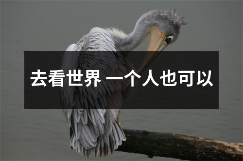 去看世界 一个人也可以