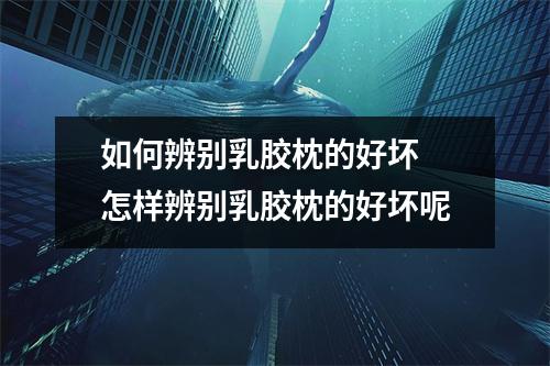 如何辨别乳胶枕的好坏 怎样辨别乳胶枕的好坏呢