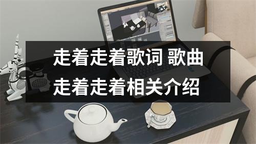 走着走着歌词 歌曲走着走着相关介绍