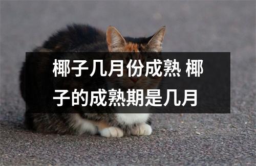 椰子几月份成熟 椰子的成熟期是几月