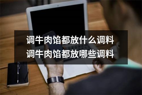 调牛肉馅都放什么调料 调牛肉馅都放哪些调料