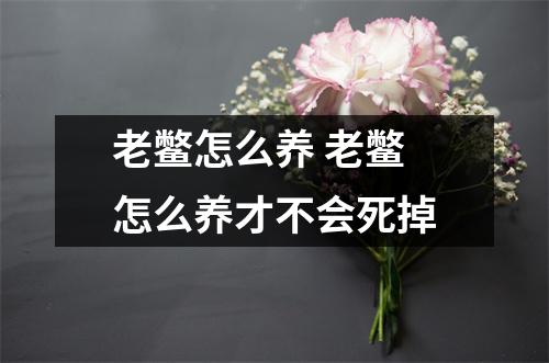 老鳖怎么养 老鳖怎么养才不会死掉