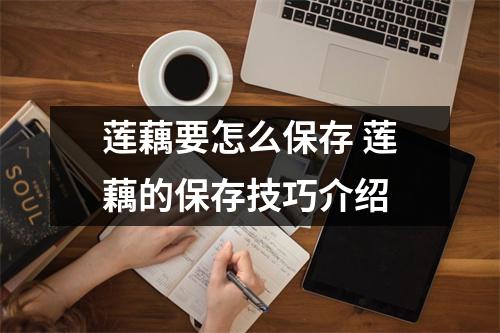 莲藕要怎么保存 莲藕的保存技巧介绍