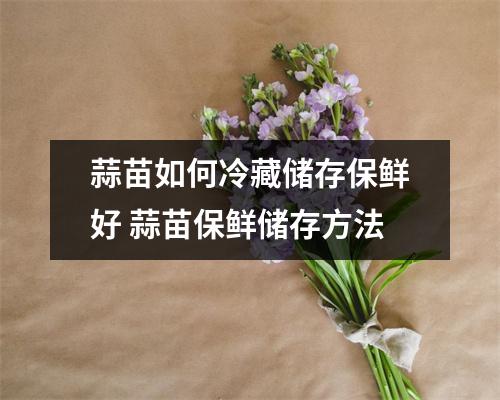 蒜苗如何冷藏储存保鲜好 蒜苗保鲜储存方法
