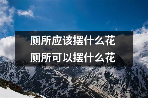 厕所应该摆什么花 厕所可以摆什么花