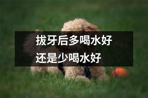 拔牙后多喝水好还是少喝水好