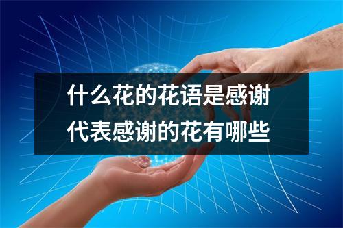 什么花的花语是感谢 代表感谢的花有哪些
