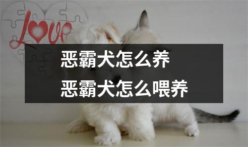 恶霸犬怎么养 恶霸犬怎么喂养