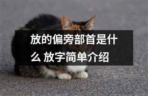 放的偏旁部首是什么 放字简单介绍