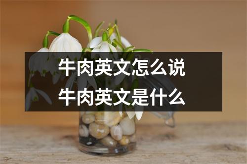 牛肉英文怎么说 牛肉英文是什么