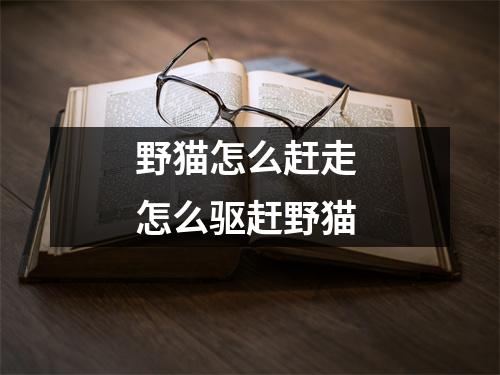 野猫怎么赶走 怎么驱赶野猫