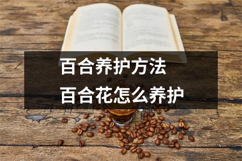 百合养护方法 百合花怎么养护